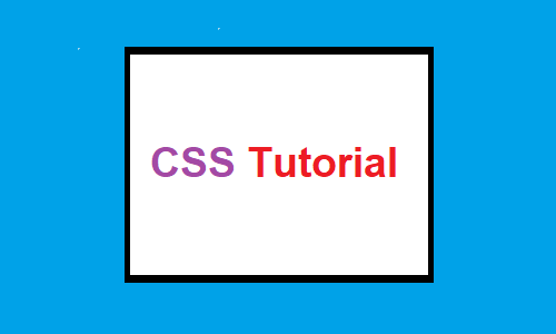 CSS Tutorial