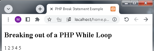 Breaking out of a PHP While Loop