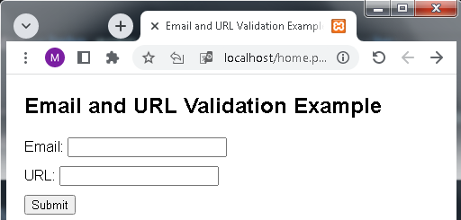 PHP Email and URL Validation Example